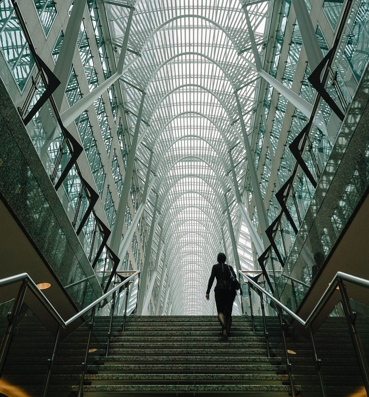 CBI Detail Section Image